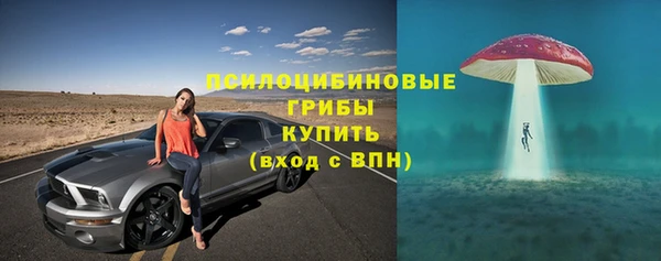 мяу мяу кристалл Богданович