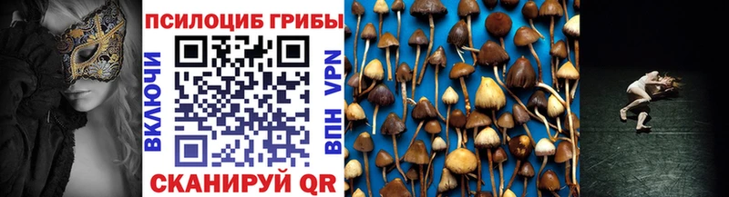 Галлюциногенные грибы Psilocybine cubensis  продажа наркотиков  Мончегорск 