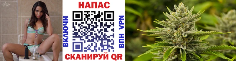 Марихуана конопля Мончегорск